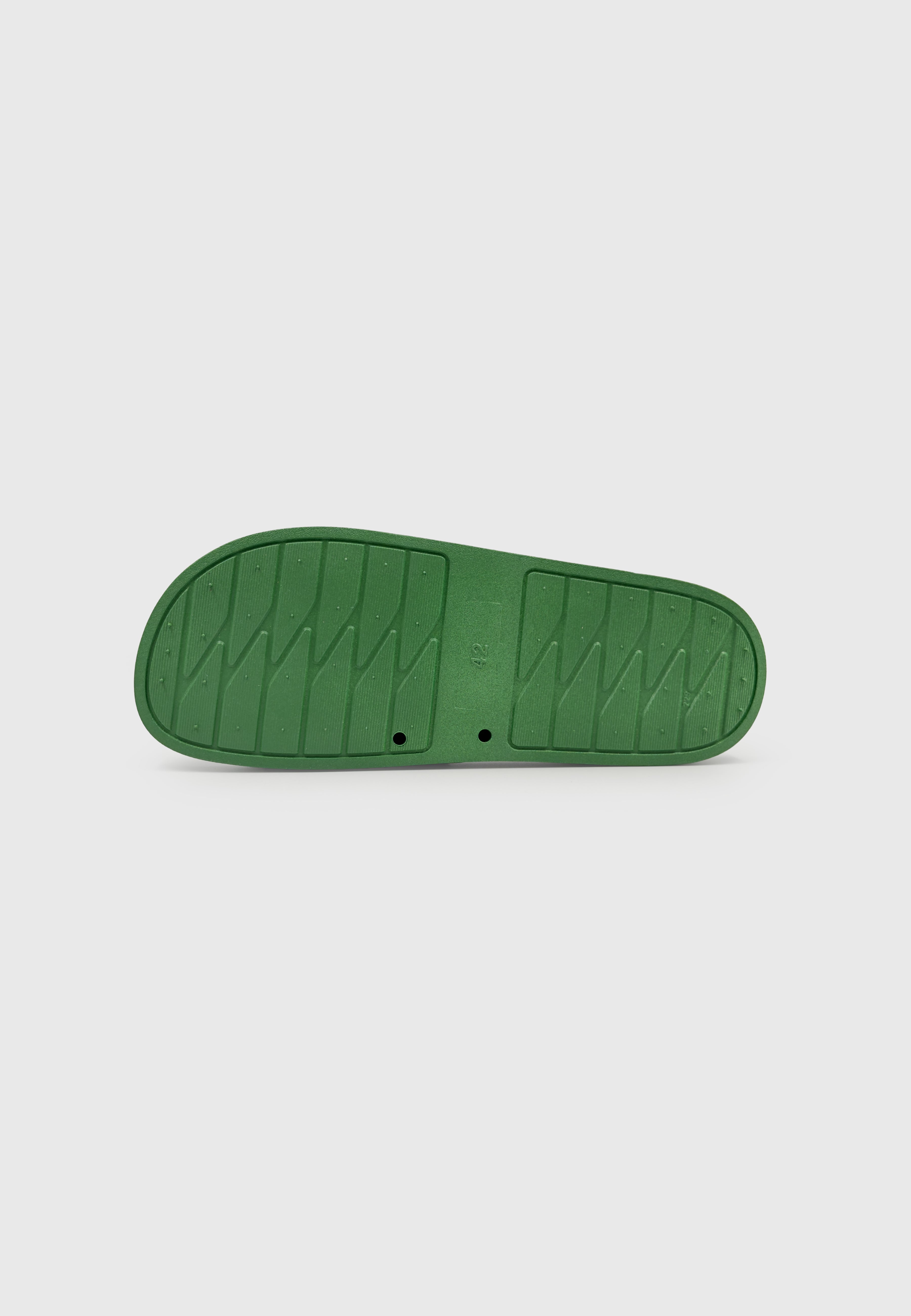 Dutch'D Logo Slides Green White