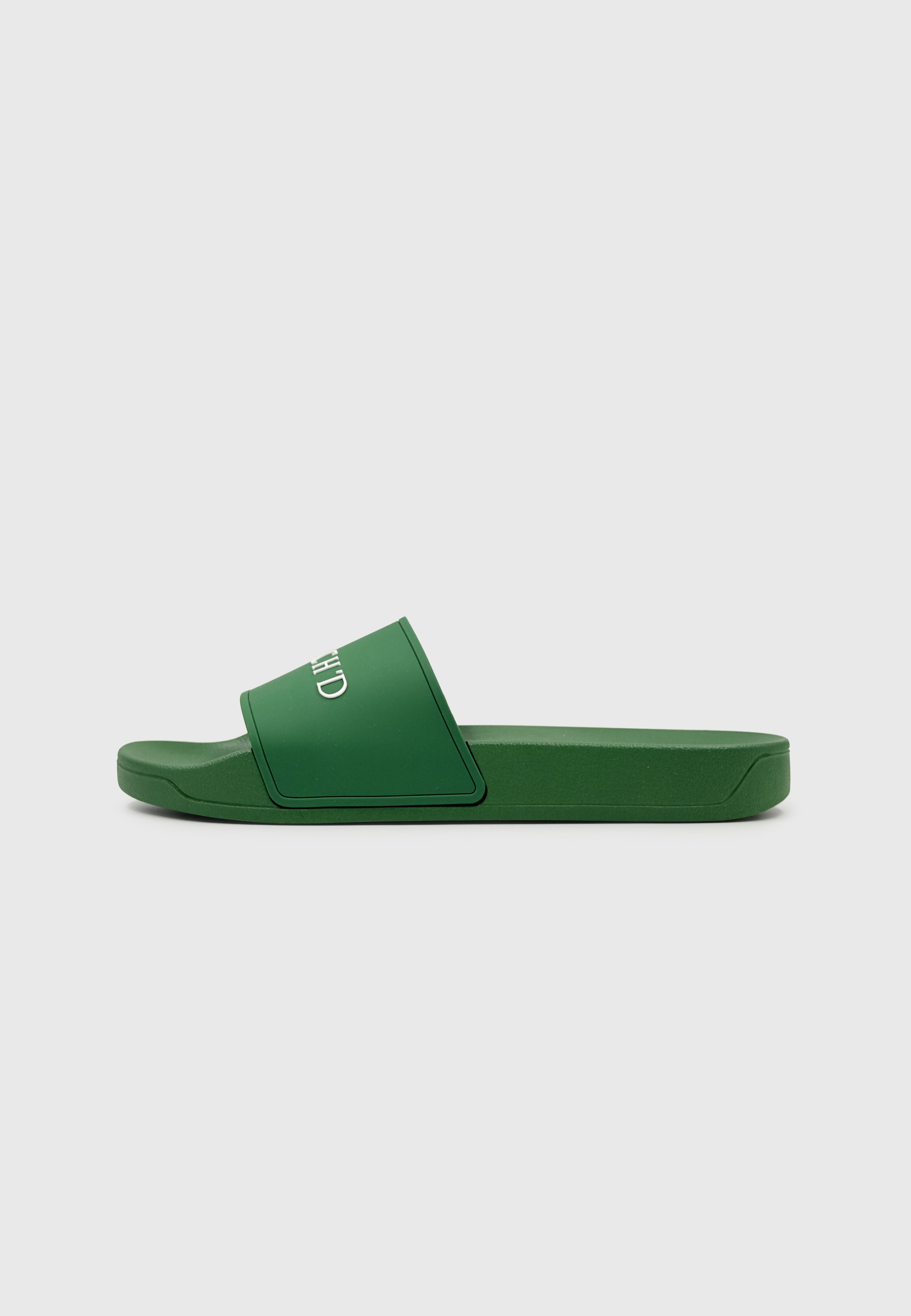 Dutch'D Logo Slides Green White